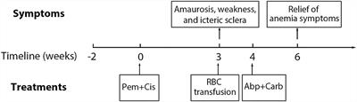 Case report: First case of pemetrexed plus cisplatin-induced immune hemolytic anemia in a patient with lung adenocarcinoma